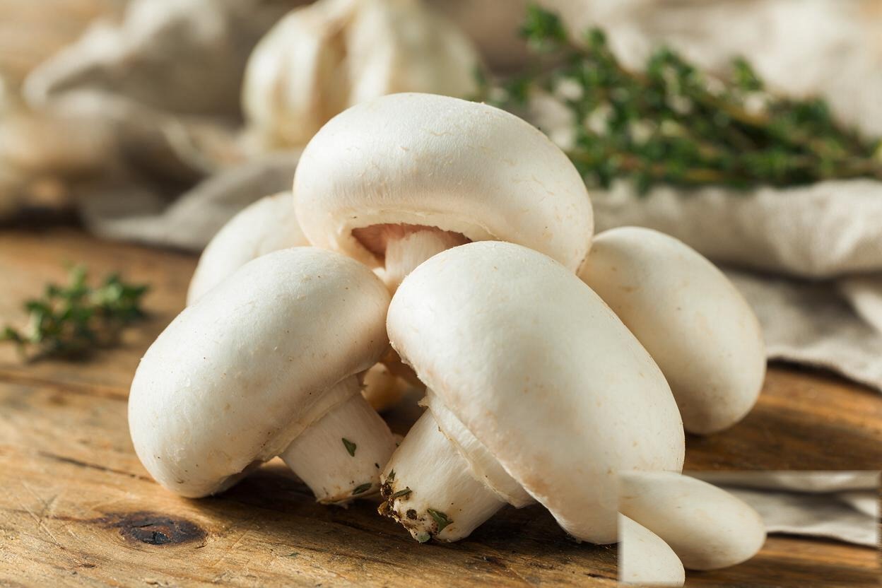 Mushrooms