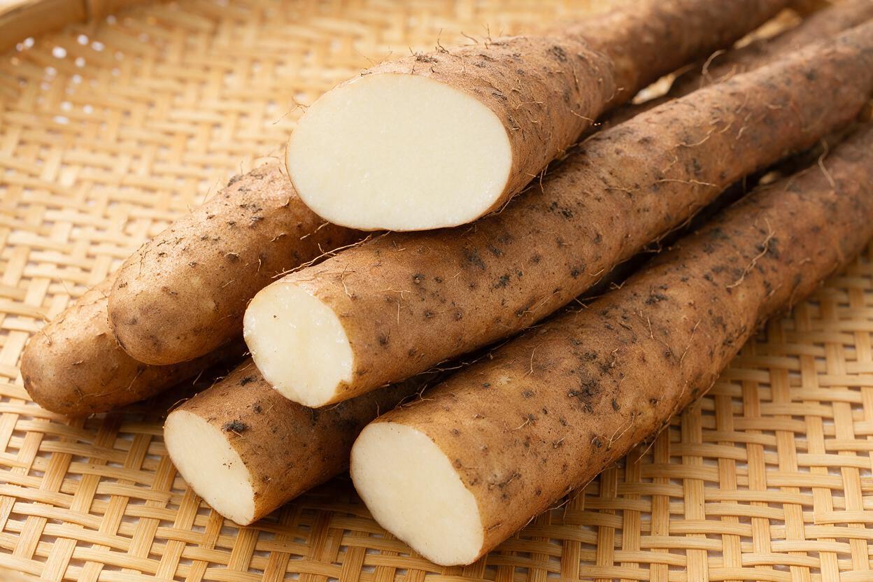 Chinese Yam