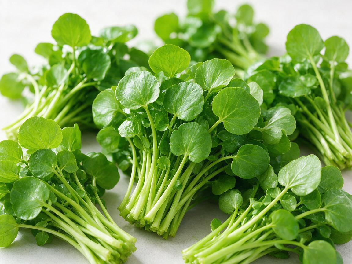 Fresh Watercress from China: Export Supply Guide