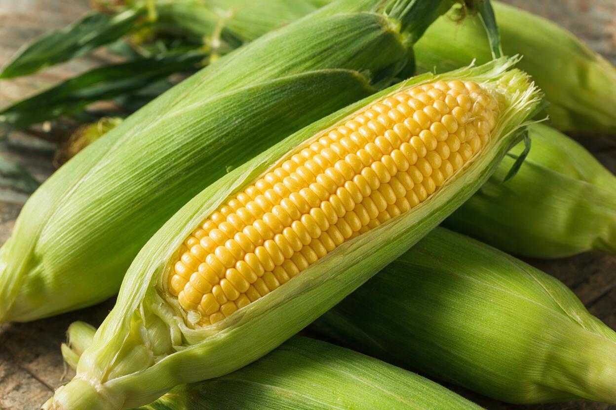 Sweet Corn Cold Chain & Fresh Export from China: Pre-Cooling, Grading & Supply